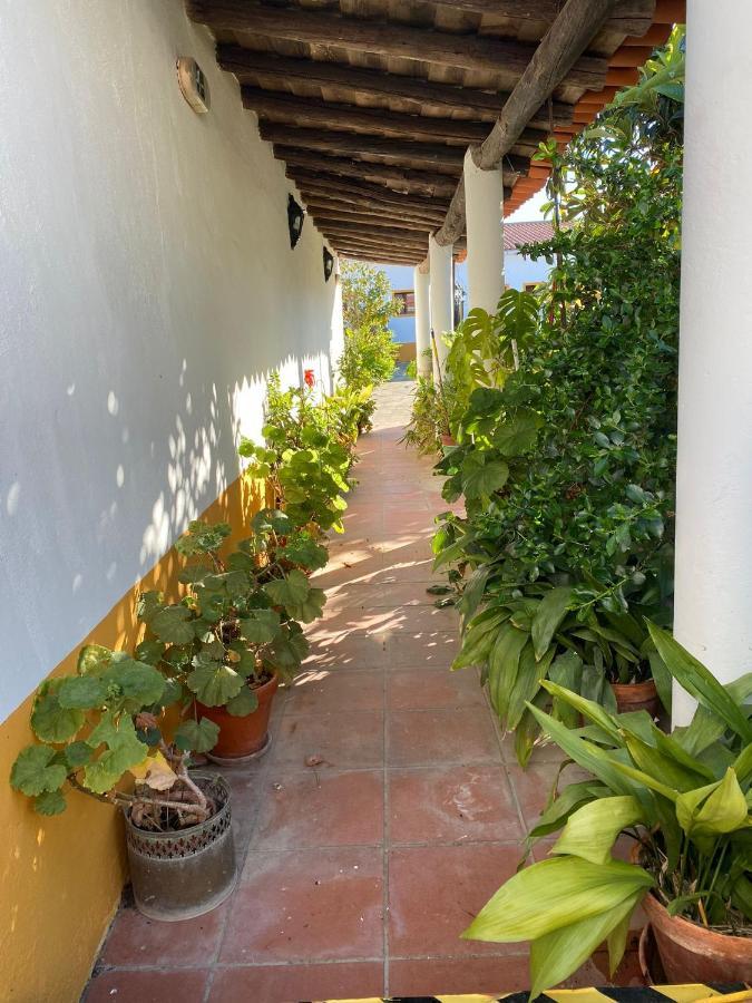 Casa De Sao Cucufate - Casa De Campo Vila de Frades Εξωτερικό φωτογραφία